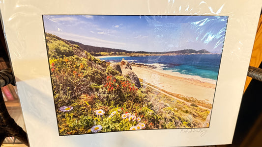 Photo prints assorted