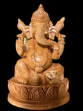 Beautiful kadam wood Ganesha sitting on lotus ,holding conch shells in  both hands 