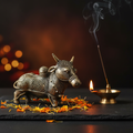 Nandi Bull – Lifestyle