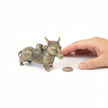 Nandi Bull – Scale Reference