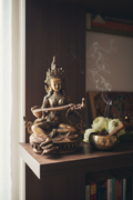 Saraswathi Nepal Realistic Lifestyle