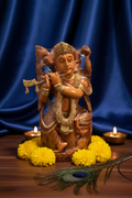 Shisham Krishna Lifestyle