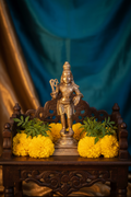 Young Krishna Lifestyle